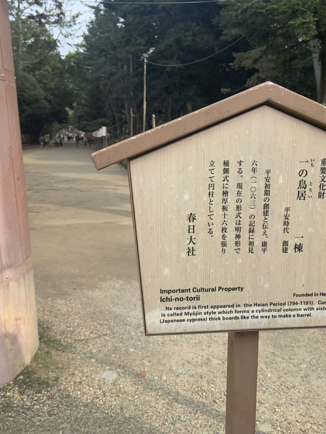 奈良宇治古都慢活之旅🌸  