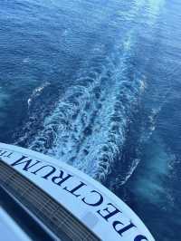 🇭🇰 海洋光譜號初體驗✨—我第一次郵輪之旅Check List 🛳️