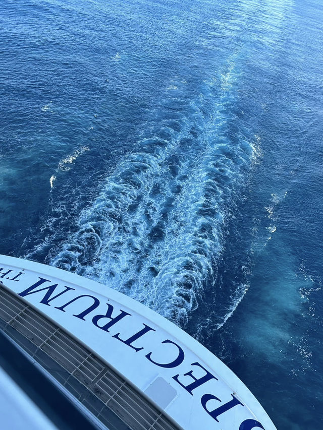 🇭🇰 海洋光譜號初體驗✨—我第一次郵輪之旅Check List 🛳️