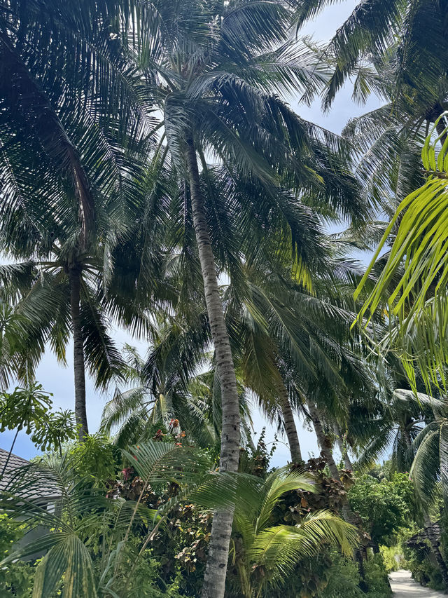 Magical Moments at Lily Island