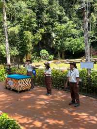 Ideal Family Lodging Near Sunway Lost World of Tambun