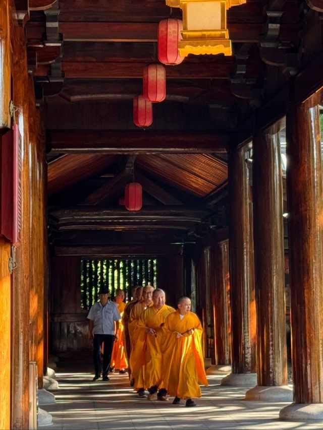 千年晚唐風！白玉蘭獎古剎藏魔都！寶山寺暴走指南