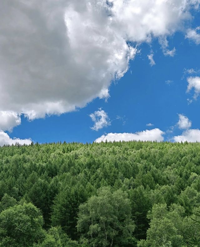 【崇禮版小瑞士】翠雲山全攻略收好這份避暑&滑雪神仙指南！