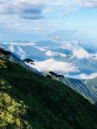 雲端漫步日記｜在武功山被綠色海洋治癒的瞬間