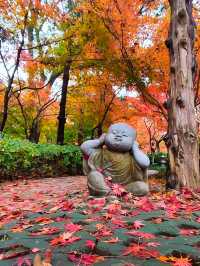 跌入南朝夢境：棲霞山的楓，是秋天寫給金陵的詩