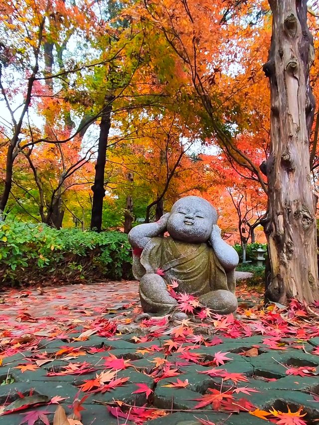 跌入南朝夢境：棲霞山的楓，是秋天寫給金陵的詩
