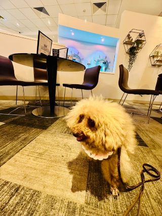 Fantastic Stay at Novotel Southampton