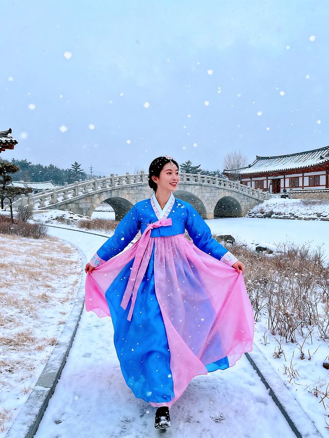 去了5次哈爾濱！熬夜總結的旅遊攻略！