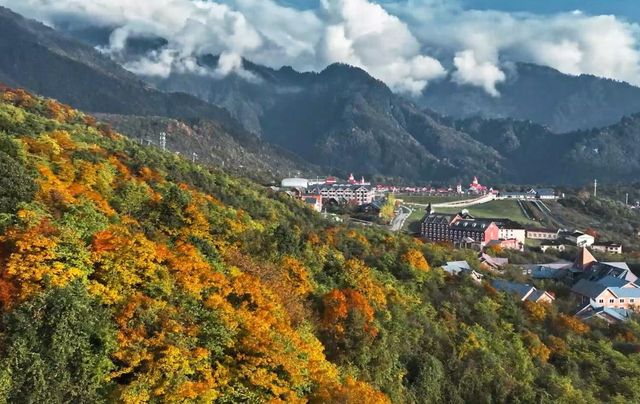 限時免票！四川這幾個景區，錯過等一年！