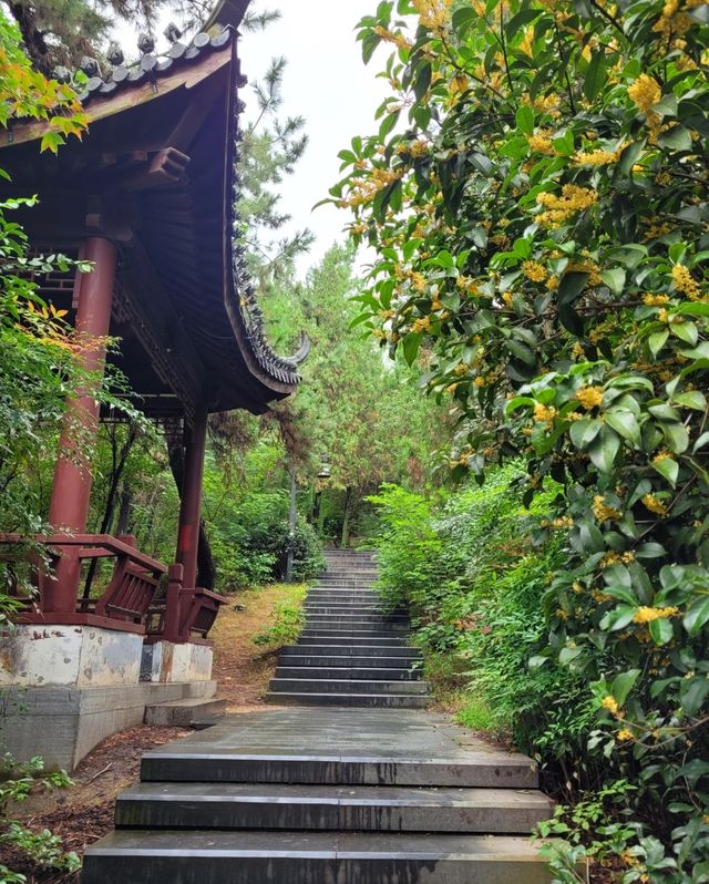 蚌埠城市名片 蚌埠城市名片