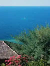 在科莫多島找到了旅行中的鬆弛感