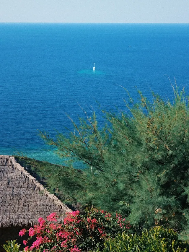 在科莫多島找到了旅行中的鬆弛感