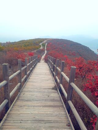 Enjoy autumn and red leaves viewing in Fangshan, Beijing suburbs, with fewer people and beautiful scenery at the perfect time