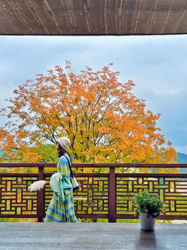 南昌週末去哪兒？江西阿勒泰藝術館！