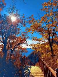 北京南石洋大峽谷｜不必遠赴深山，北京城西就藏著秋日童話。