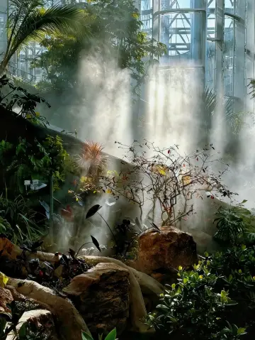 Shanghai World Expo Cultural Park|Step into the Palace Fairy Tale Forest Greenhouse