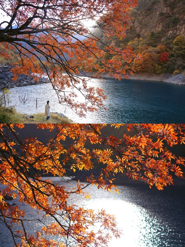 驚艷！川西小九寨松坪溝的秋色絕了一日打卡攻略