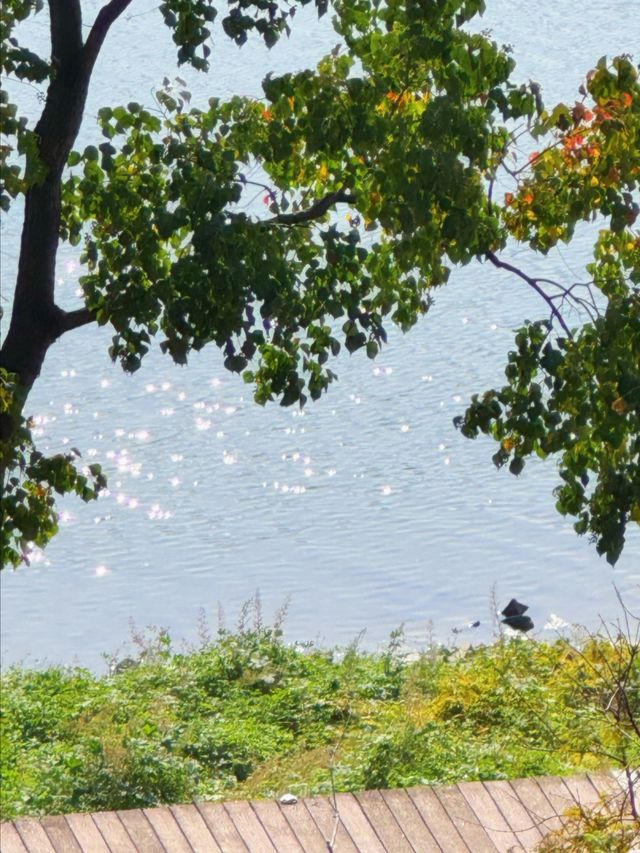 長沙小眾公園天花板磨盤洲生態公園溜娃不擠人 長沙小眾公園天花板磨盤洲生態公園溜娃不擠人