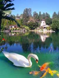 LA必衝|沉浸體驗Getty Center光影魔法