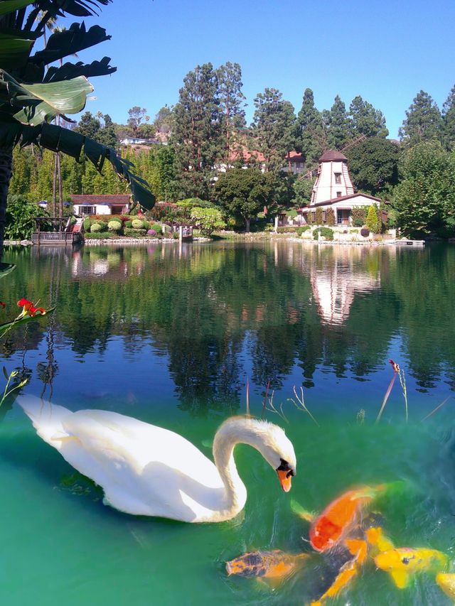 LA必衝|沉浸體驗Getty Center光影魔法