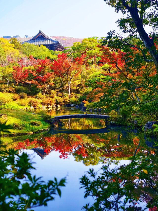 奈良依水園攻略關西最仙庭院被我發現啦! 奈良依水園攻略關西最仙庭院被我發現啦!