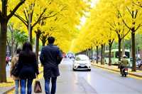 甘肅秘境預警比九寨更美嘅小彩林被我搵到喇