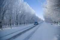 雪染峽谷,軒暖歸途