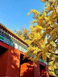 杭州臨安人少景美！指南村被我私藏了～江南版“喀納斯”超驚艷?