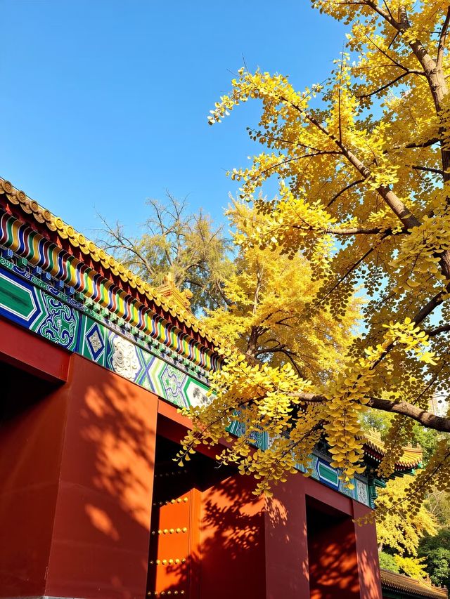 杭州臨安人少景美！指南村被我私藏了～江南版“喀納斯”超驚艷?