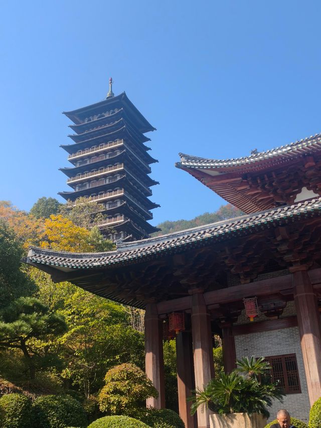 浙江衢州根宮佛國根與佛交織的夢幻之境