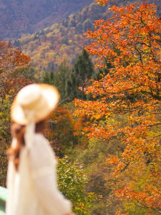 Autumn Exclusive｜Ya'an 2-Day, 1-Night Self-Drive Trip: Superb for Autumn Scenery and Panda Watching! 