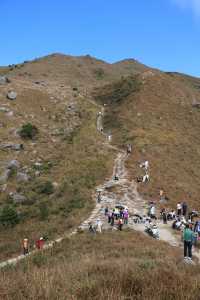 香港大東山,秋日芒草的夢幻之旅!