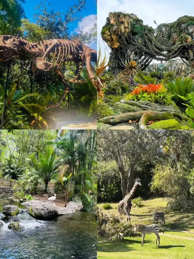 The whole world calls it Disneyland, but only Orlando is the true