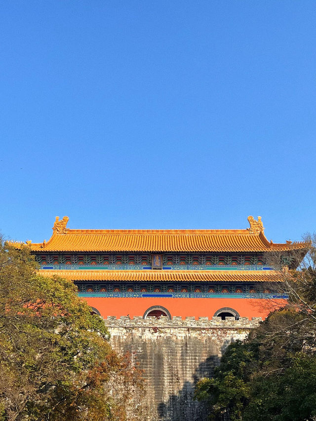 南京秋日City Walk！這幾個地方一定要打卡