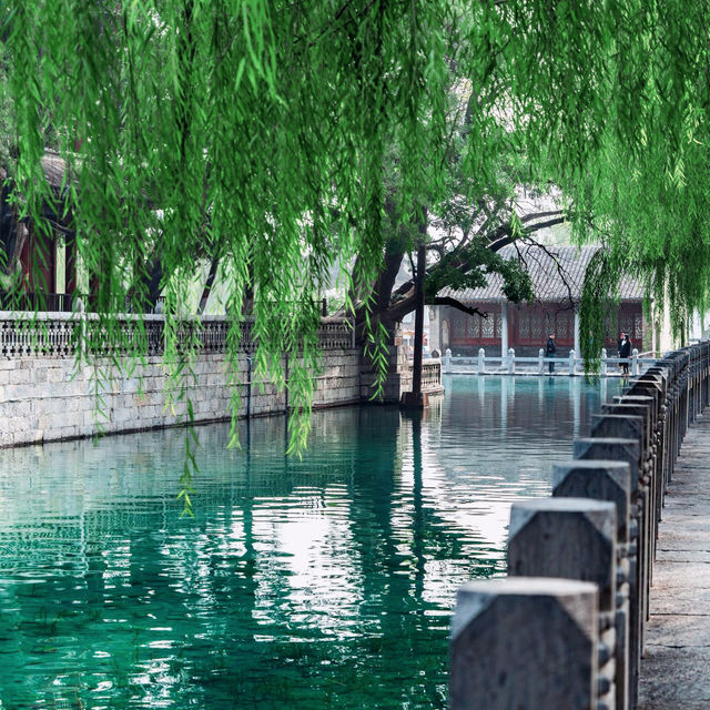 河南藏着個「北方小西湖」！7點前免費逛，1.5h直達玻璃泉