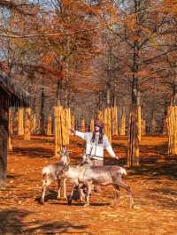 秋日速報！！收到一本宜興的童話書