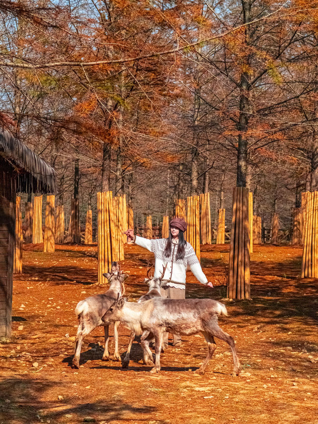 秋日速報！！收到一本宜興的童話書