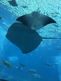 三亞五天四晚淡季旅遊攻略