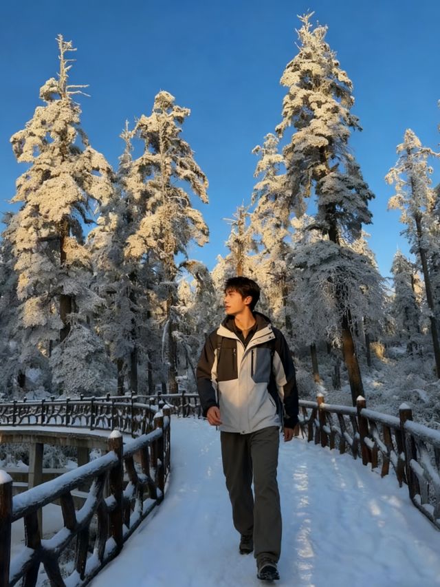 瓦屋山雪已就位！成都自駕3h直達的冰雪快樂，霧淞、冰瀑、滑雪全拿捏，新手閉眼衝的攻略整理好啦，趕緊碼