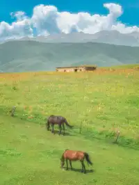 盤點那些我拍過像畫一樣的照片!