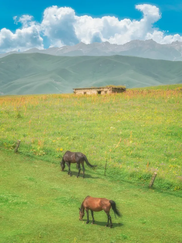 盤點那些我拍過像畫一樣的照片! 盤點那些我拍過像畫一樣的照片!