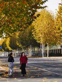 橫江濕地藏著秋日私語