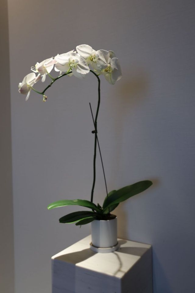 這家法式藝術酒店住了還想來#樂山安珀酒店