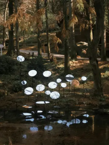 森林秘境探幽攻略