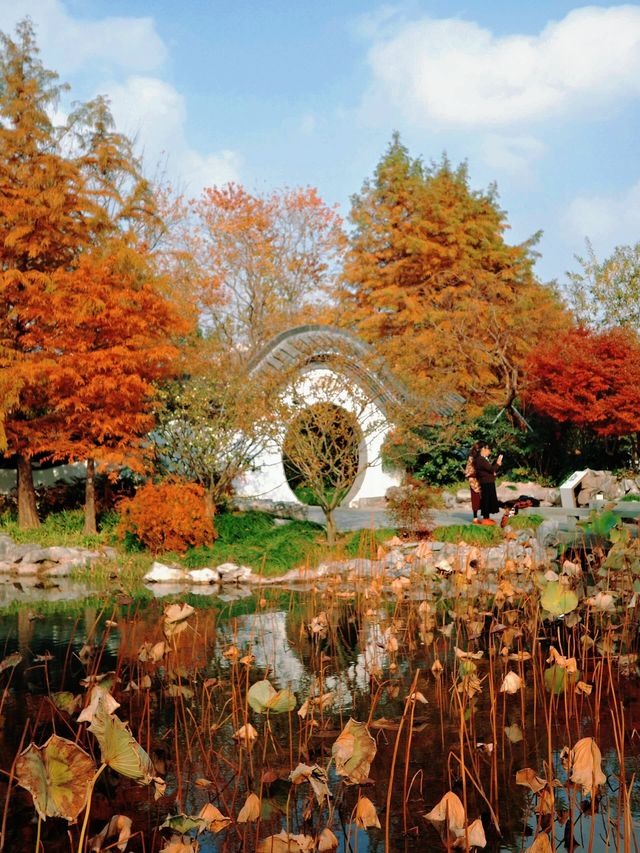 上海世博文化公園裡隱藏的寶藏園林!申園也太仙了叭~ 上海世博文化公園裡隱藏的寶藏園林!申園也太仙了叭~