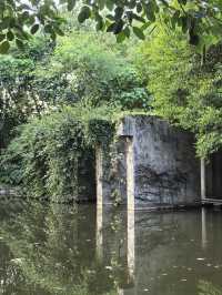 藏在深圳市中心的秘密角落,太美啦!