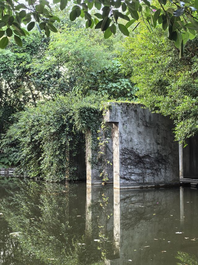 藏在深圳市中心的秘密角落,太美啦! 藏在深圳市中心的秘密角落,太美啦!