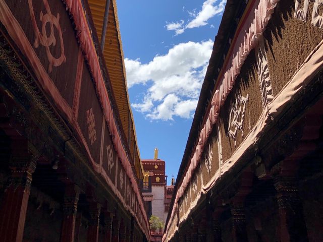 此生必駕,藏三一八。 此生必駕,藏三一八。