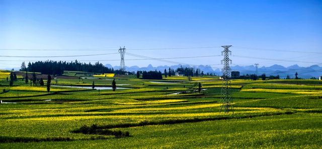 峰叢花田醉我心