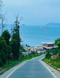 伶仃洋慢遊攻略